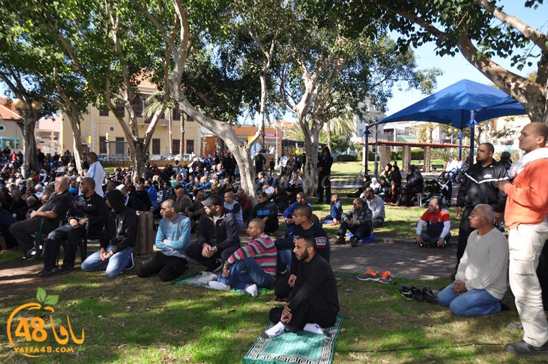 salah jom3a yaffa (19).JPG